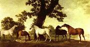 George Stubbs Pferde in einer Landschaft painting